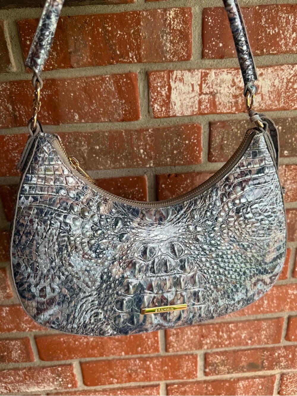 Brahmin Bekka Icy Python